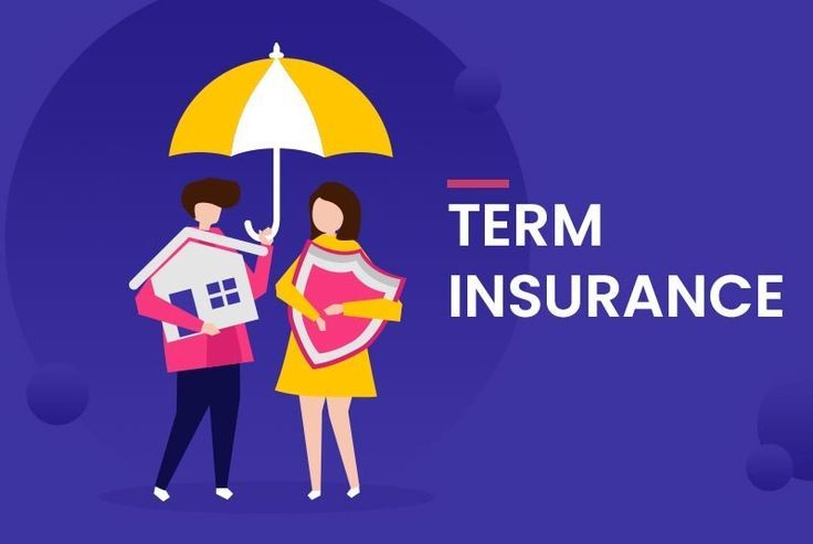 what is term insurance in hindi